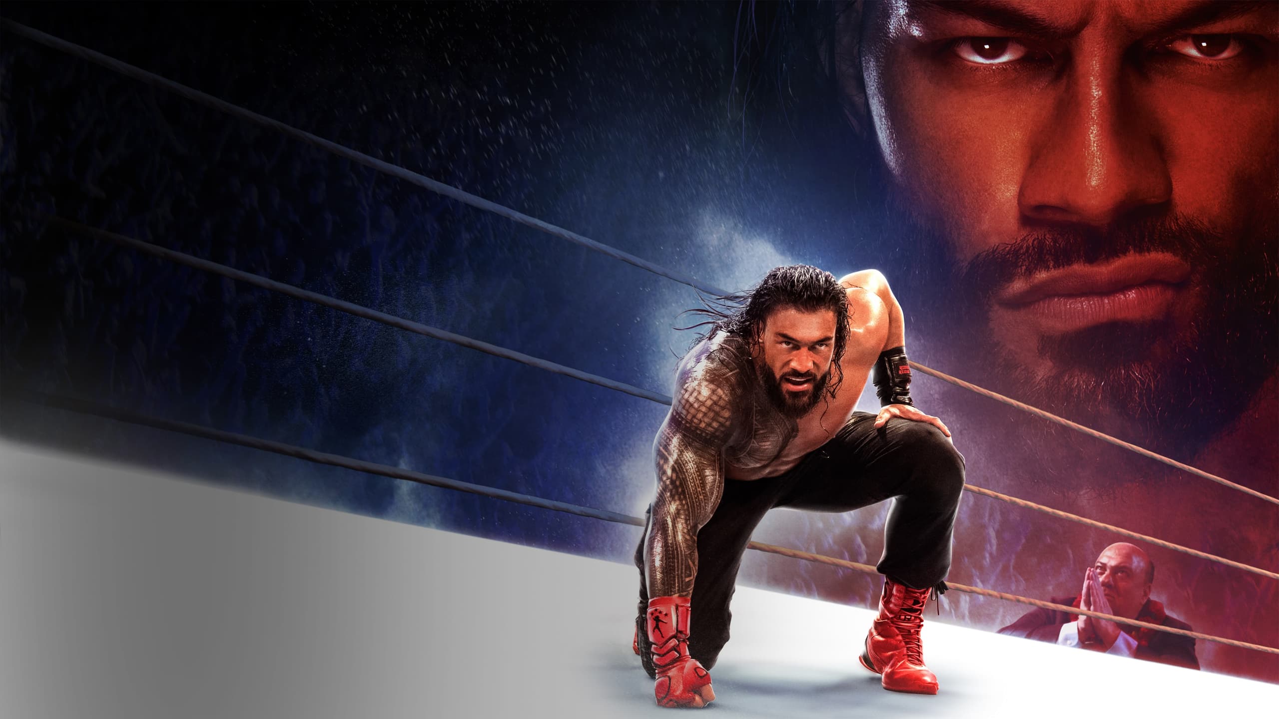 WWE 2K25